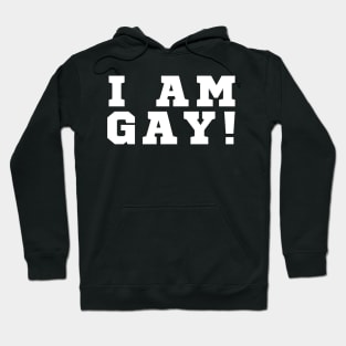 I Am Gay Hoodie